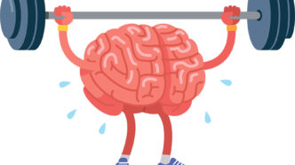 brain